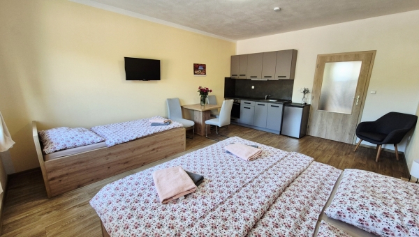 1. Apartmán s kuchyňkou